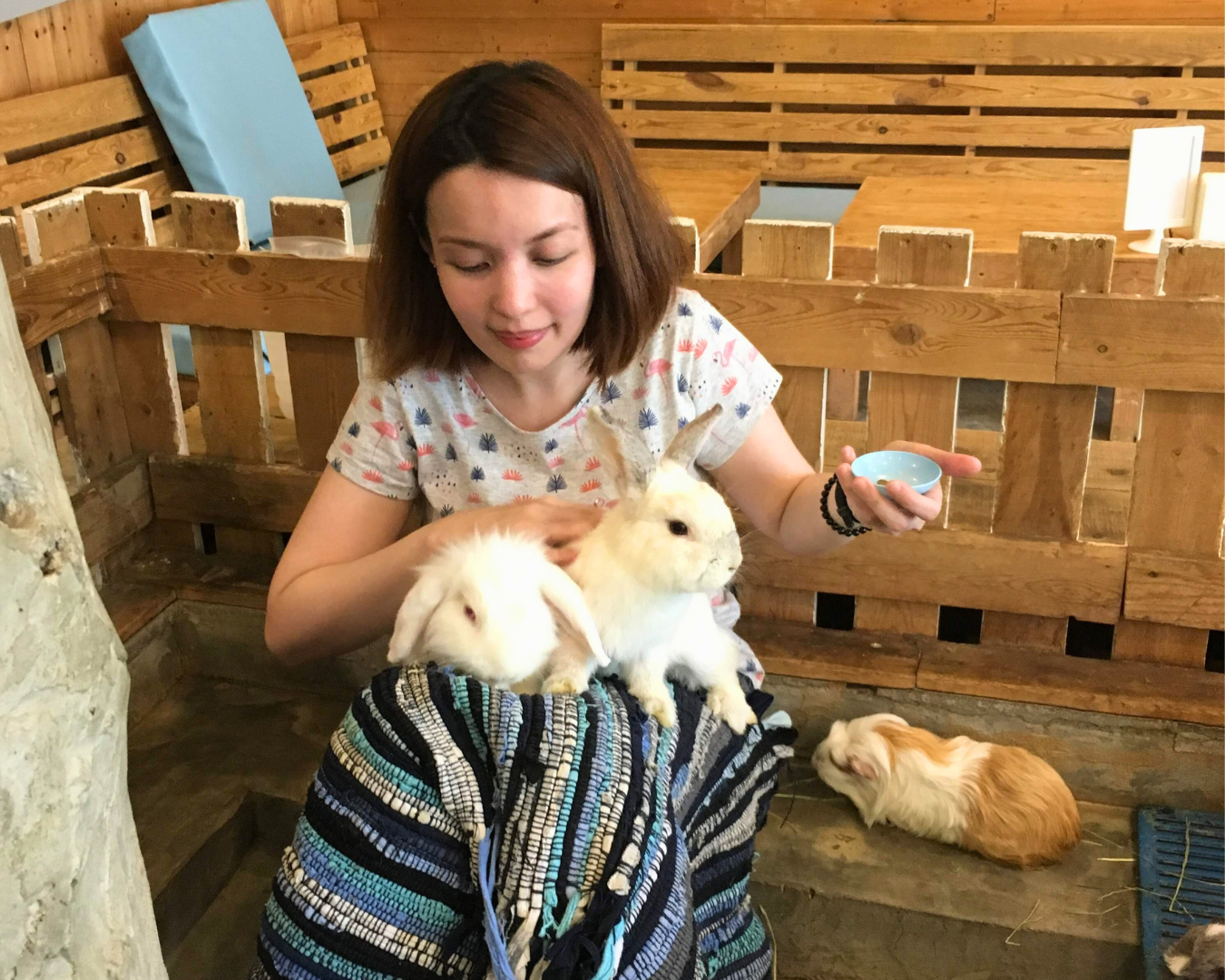 This was me at a rabbit cafe in Bangkok in 2019
